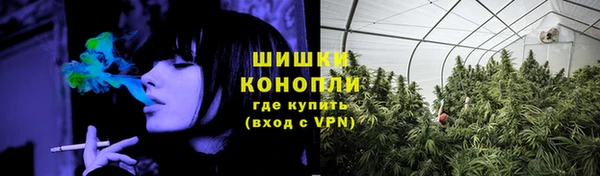 мдпв Верея