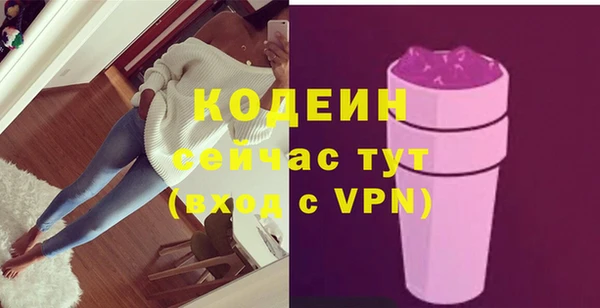 мдпв Верея