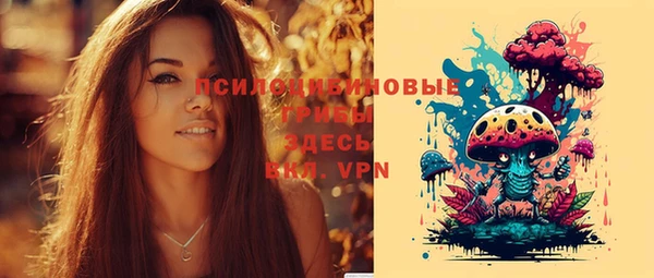 мдпв Верея
